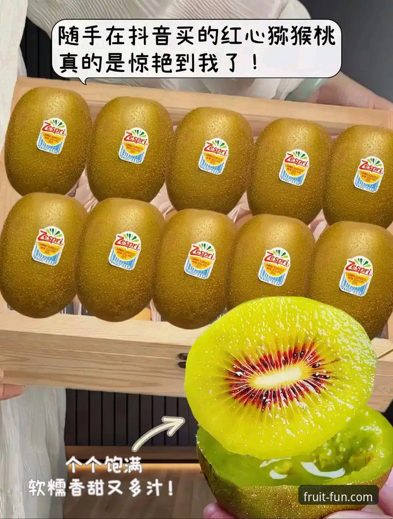 奇异果娱乐安全吗下载不了怎么办 奇异果娱乐安全吗下载不了怎么办?完整故障排查与安全使用指南